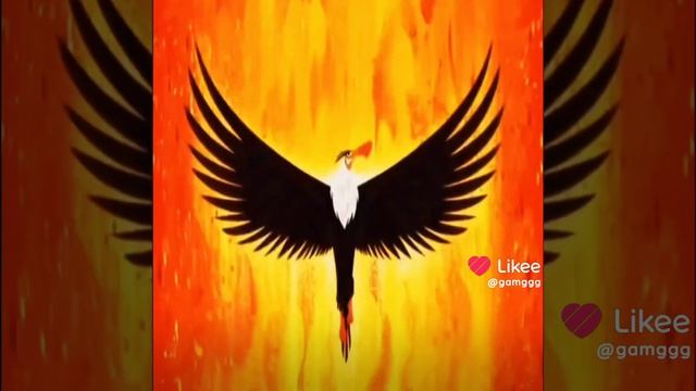 Могучий орёл эдит смотреть онлайн