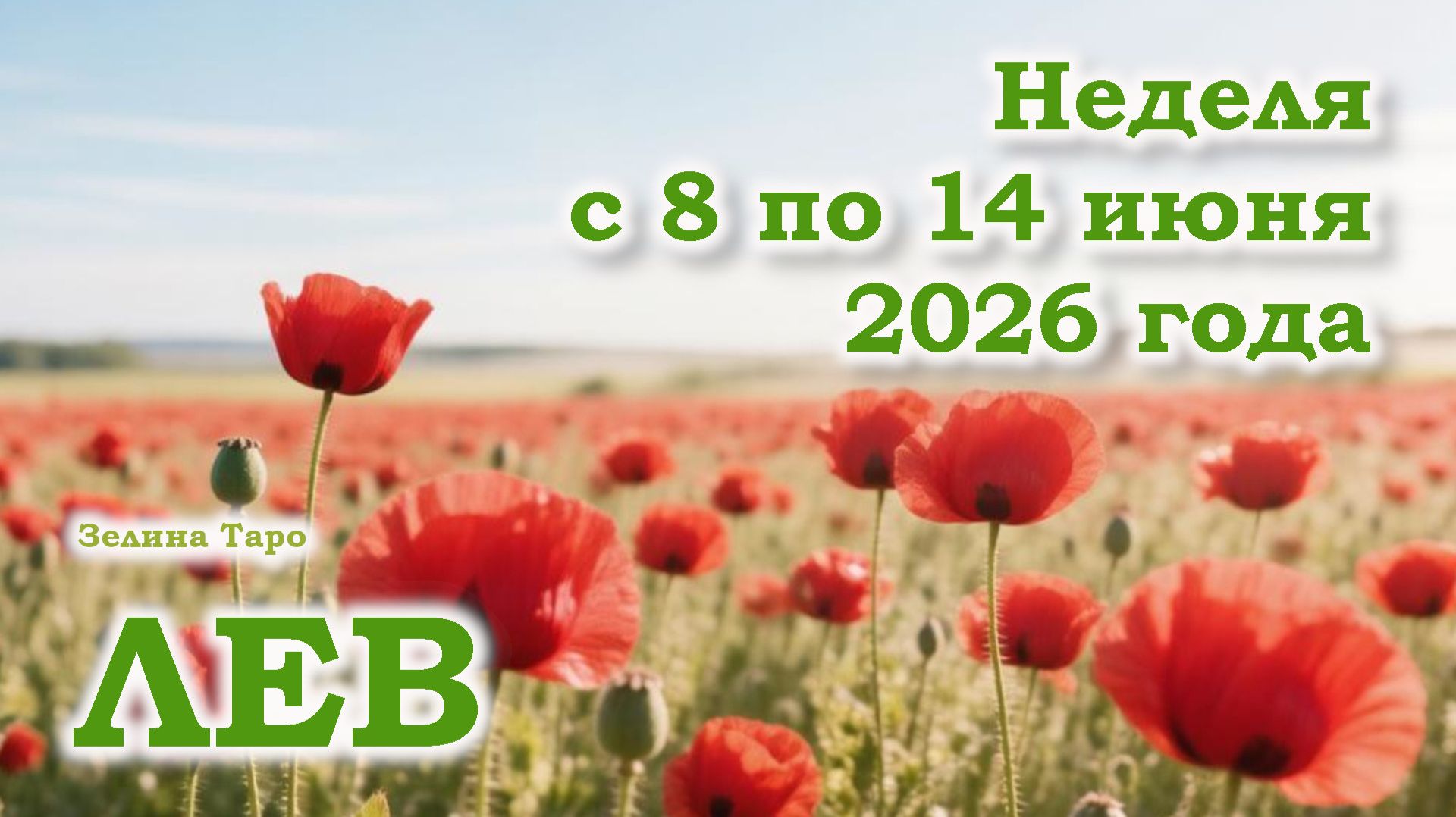 ЛЕВ | ТАРО прогноз на неделю с 8 по 14 июня 2026 года