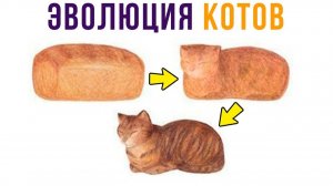 КОТЫ ЭТО ХЛЕП!))) Приколы с котами