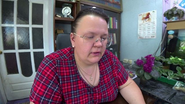Ваши вопросы - мои ответы. Часть 125 смотреть онлайн