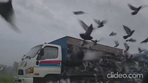 3 гонка. 417 км. Московский регион. Старт 7 июня 2026 года.