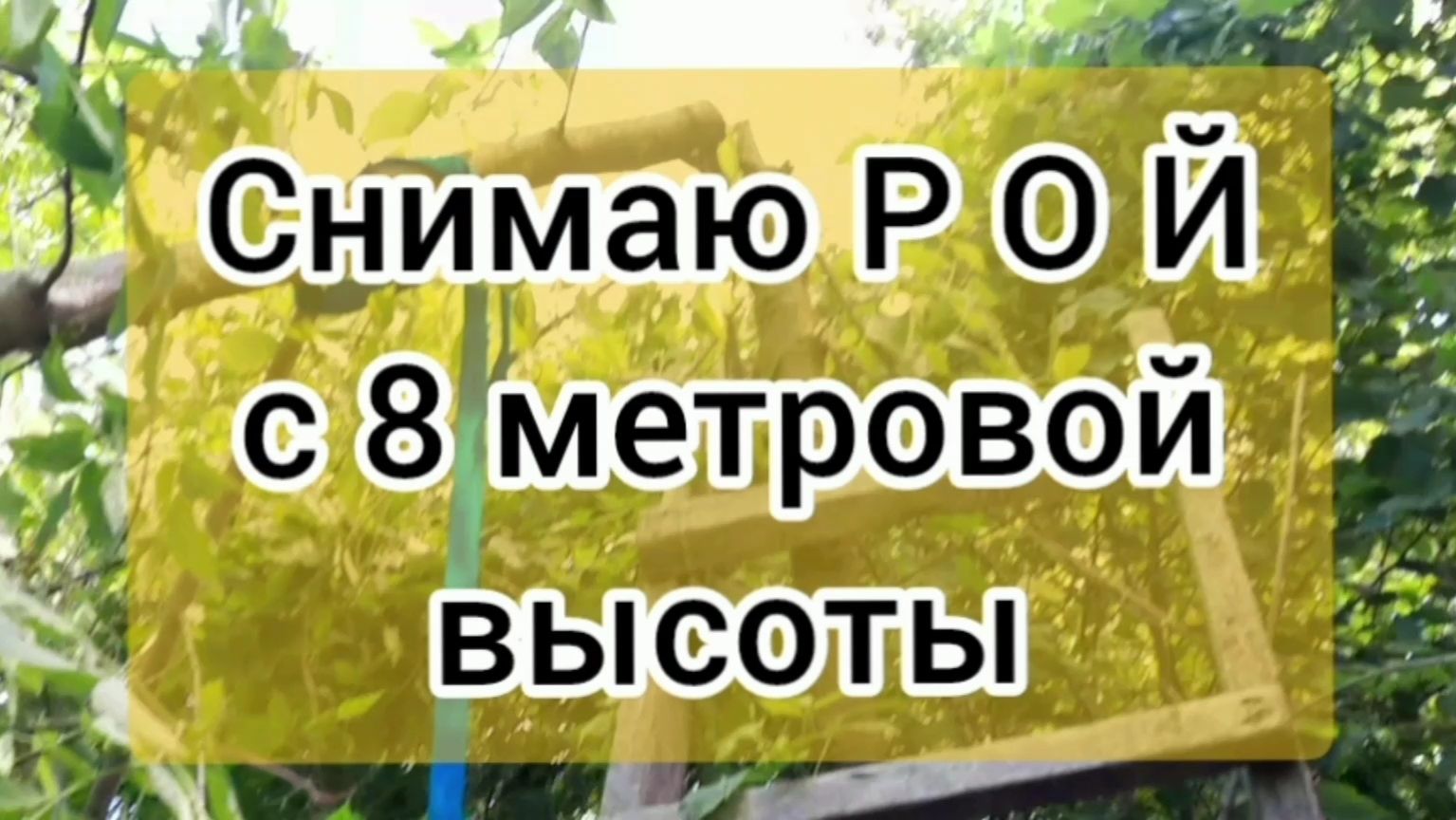 Снимаю Рой с 8 метровой высоты смотреть онлайн
