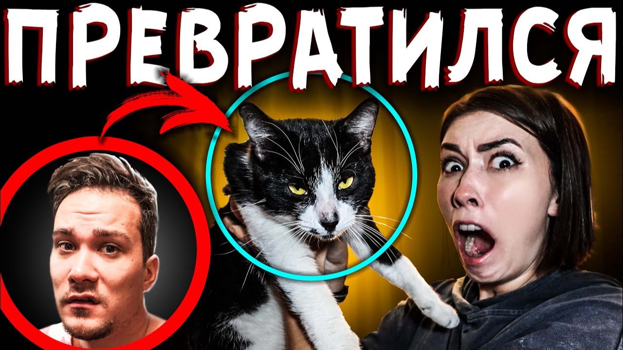 Говорящий ТОМ в Реальной жизни МОЙ ПАРЕНЬ ВЫПИЛ ЗЕЛЬЕ и СТАЛ КОТОМ Мистика смотреть онлайн