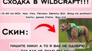 СХОДКА В ВИЛДКРАФТ! | ПИШИТЕ НИКИ!