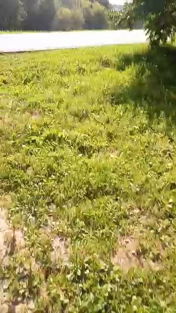 обзор на парк 2 смотреть онлайн