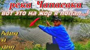 РЫБАЛКА НА УДОЧКУ НА РЕКЕ ЧАПАЕВКА/ЛОВЛЯ ПЛОТВЫ И УКЛЕЙКИ/РЫБАЛКА В САМАРСКОЙ ОБЛАСТИ/ВЕСНА 2026