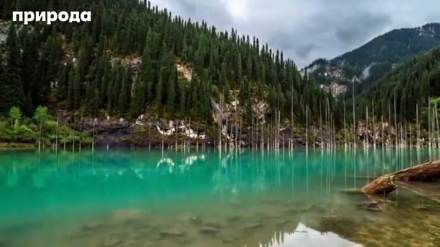 ОЗЕРО КАИНДЫ. Природа. смотреть онлайн