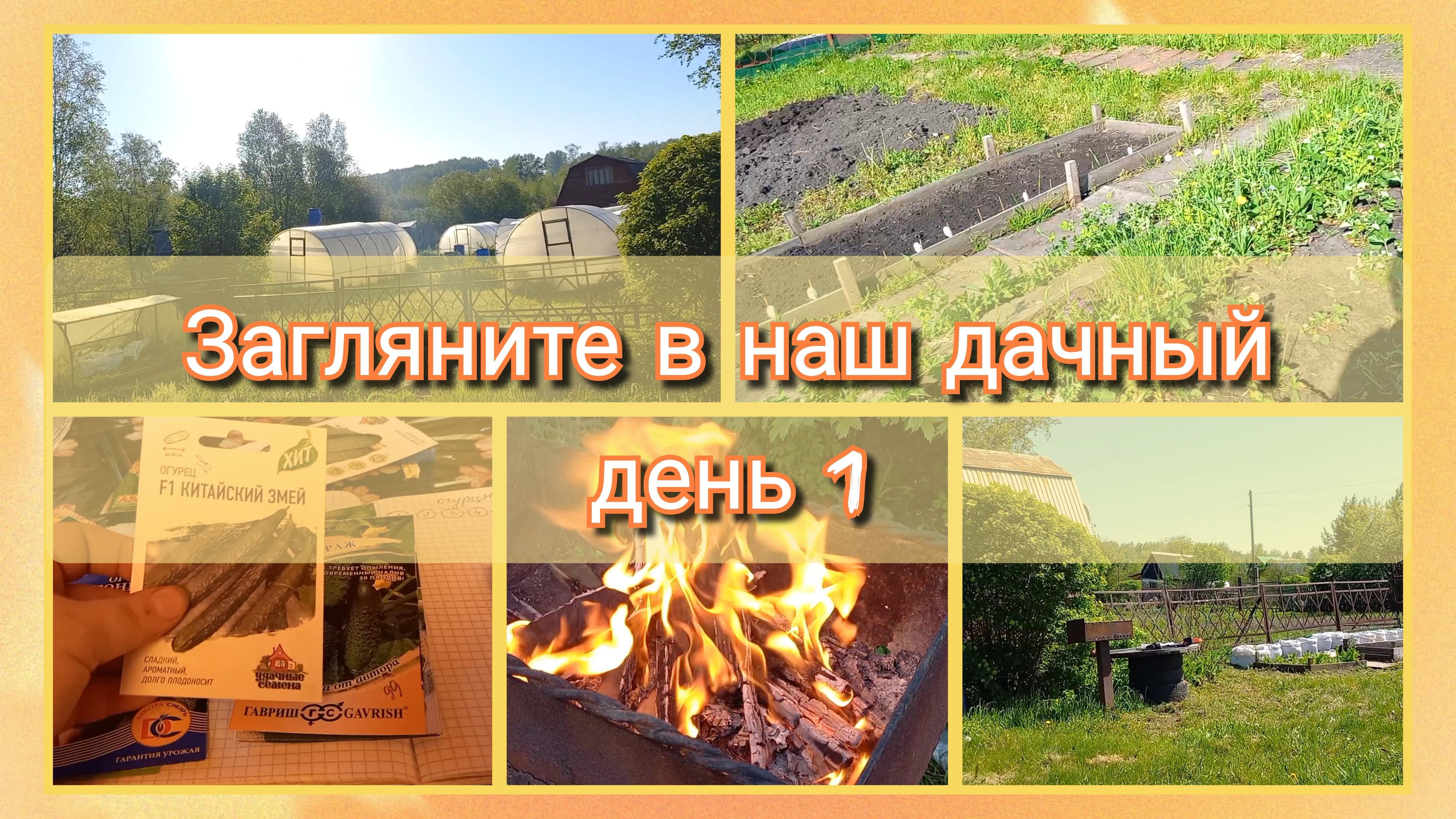 Загляните в наш дачный день 1 смотреть онлайн