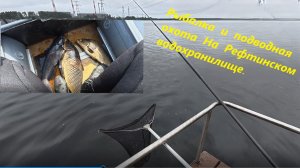 Рыбалка на боковой кивок и подводная охота! Трех дневная поездка на рефтинское водохранилище.