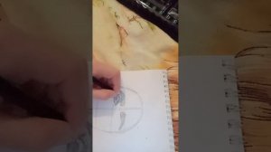 лицо