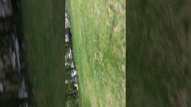 Мы гуляем смотреть онлайн