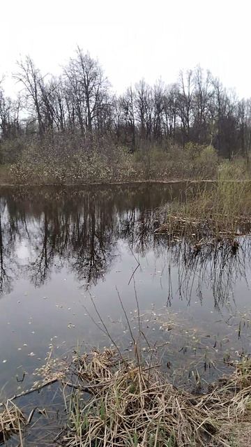 ✔Рыбалка🎣 на реке🌊. Часть 8✔