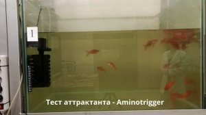 Тест аттрактанта - Aminotrigger