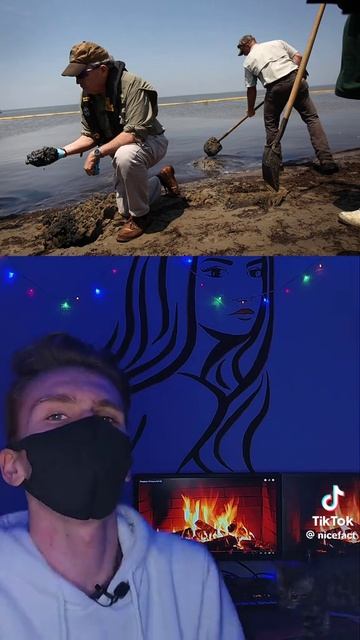 гибдд