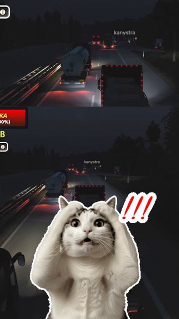 Ты тоже это видел)  Euro Truck Simulator 2