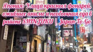 Япония: Улица красных фонарей, ожившее аниме и необычная еда в районе SHINJUKU | Japan-To-Go