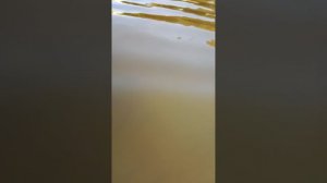 как я купался в карьере