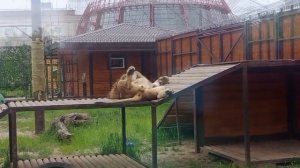 OIHT5929-05.06.2026-Видео от Ивана