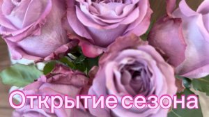 Все кричат, и никто никого не слышит! 👀 А вы сможете так перевернуться в воде? 😃