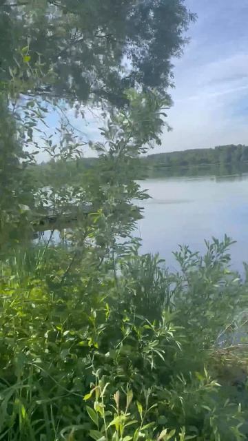 ловля карпа,карповая рыбалка РК 