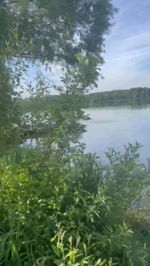 ловля карпа,карповая рыбалка РК «Фишка» Петряиха