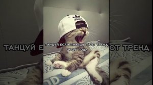 ТАНЦУЙ ЕСЛИ ЗНАЕШЬ ЭТОТ ТРЕНД-2026 ГОДА 😎😎😎