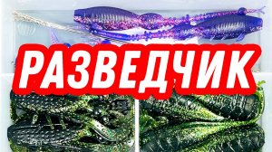 РАЗВЕДЧИК! Коробка с приманками на щуку судака и окуня