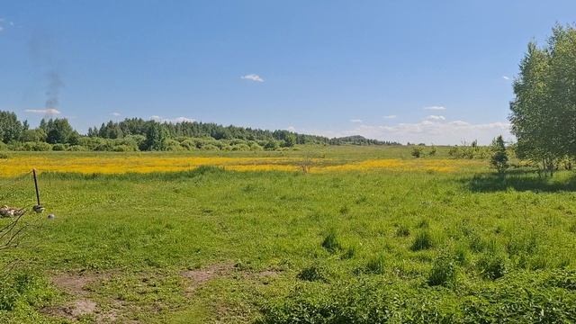 89295.mp4 смотреть онлайн