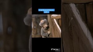 Эпизод жадный богач мультик
