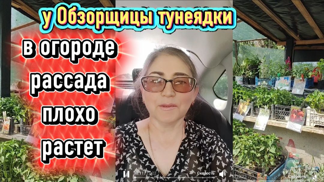 Поехали за рассадой "Тунеядка займись делом" Огурцы плохо всходят смотреть онлайн