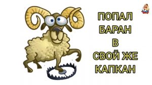 ПОПАЛ БАРАН В СВОЙ ЖЕ КАПКАН