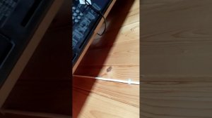 обзор на дачу