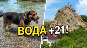 Крым Кастрополь сегодня. Идем на море, дикий пляж. Температура воды, погода и подводный мир в Крыму