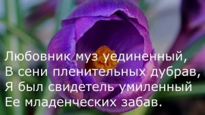Александр Пушкин - Дубравы, где в тиши свободы