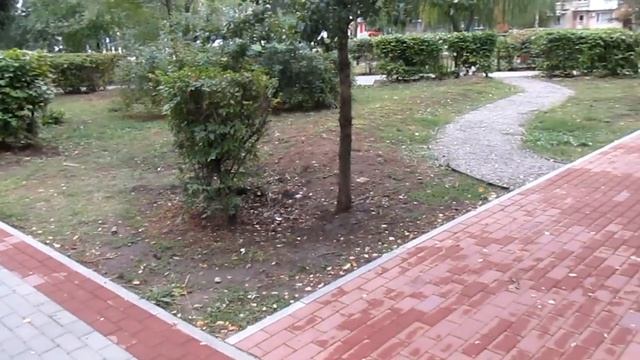 Злой Лекарь - 21.09.2021 в городе Семилуки. Особо нового ничего лужи, грязь, синяки и новые мусорки
