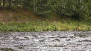 Стихотворение С. Я. Маршака «Волга и Вазуза»