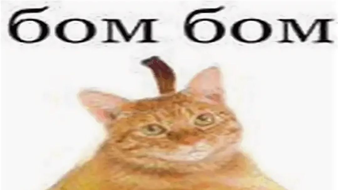 Прятки ч1