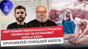 Протоиерей Геннадий Шкиль: «Верующим обязательно страдать? Почему Бог не остановит боль и зло?»