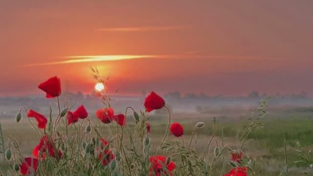 Мы вместе помолчим. Елена - Есфирь