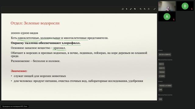 Водоросли. Мхи.