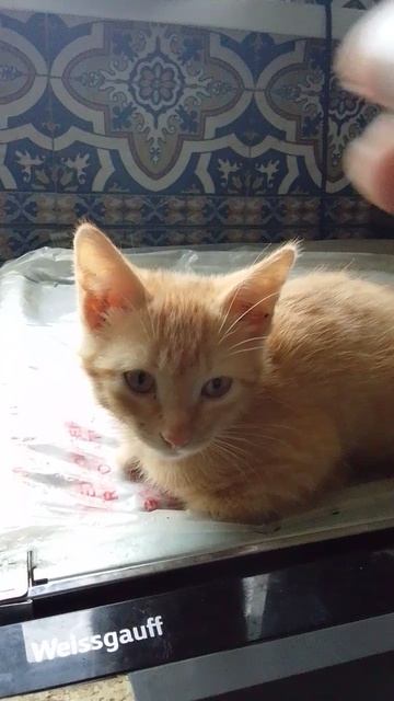 Подпишись :) смотреть онлайн