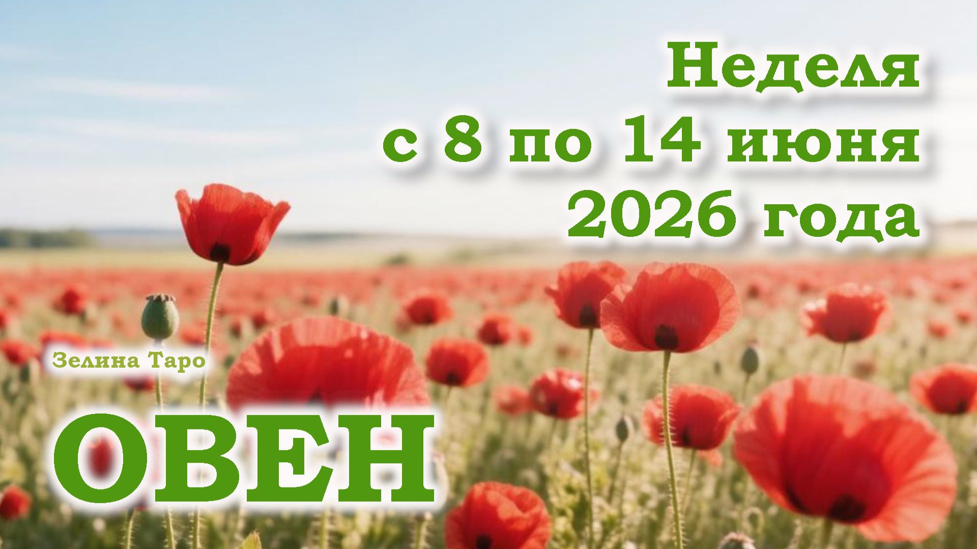 ОВЕН | ТАРО прогноз на неделю с 8 по 14 июня 2026 года