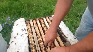 Матководство