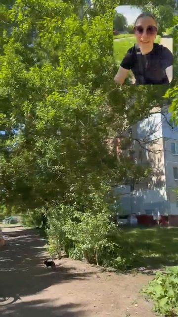 1000005044.mp4 смотреть онлайн