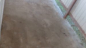 1000058853.mp4