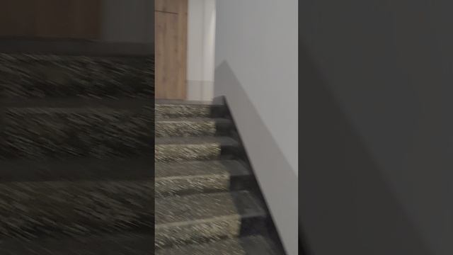 1000226473.mp4 смотреть онлайн