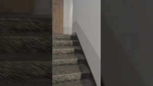 1000226473.mp4