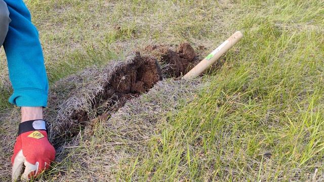 VID_20260607_175735