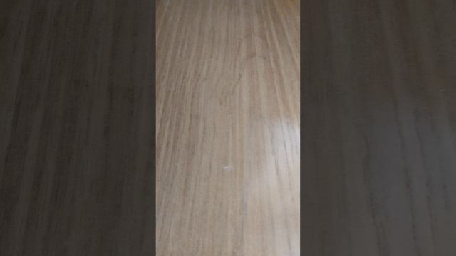 1000000480.mp4 смотреть онлайн