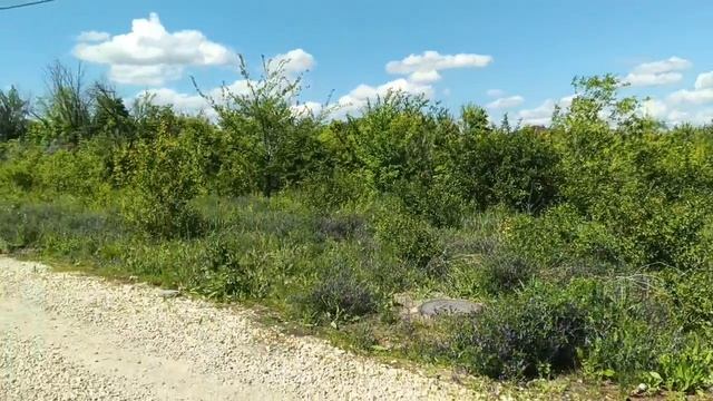 7-й Назаровский проезд смотреть онлайн